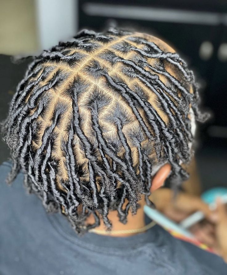 Starter Locs